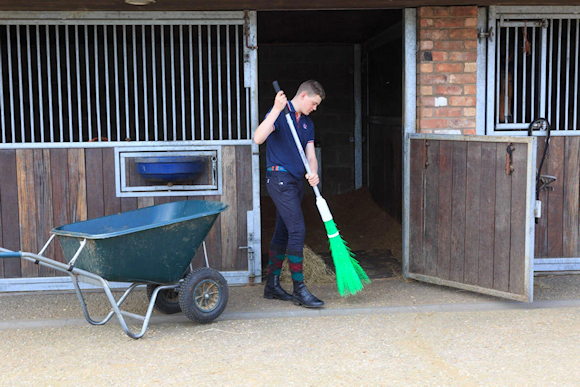 Stable employment pic