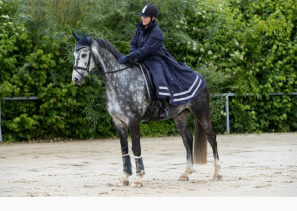 Long Riding Coat - Image 4
