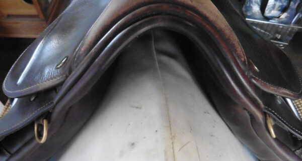 Ideal Saddle - Image 4
