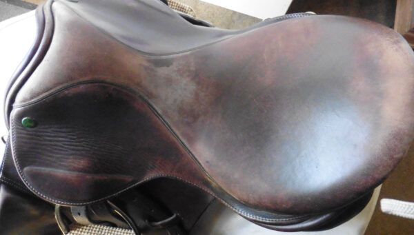 Ideal Saddle - Image 5