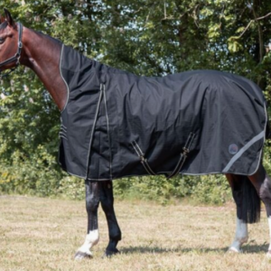 High Neck Turnout Rug