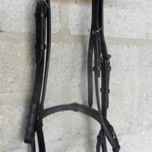 Bridle