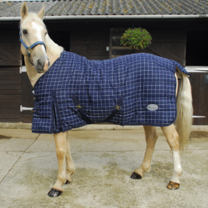 Stable Rug