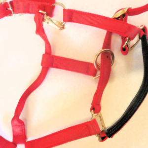 Shires Headcollar - Pony