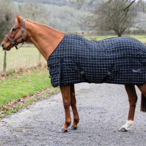 Stable Rug